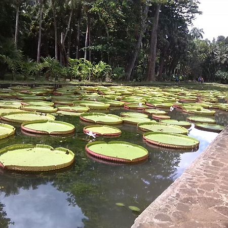 Auberge Etiennette Trou d'Eau Douce Dış mekan fotoğraf